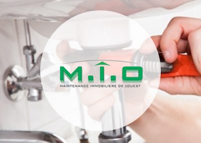 M.I.O