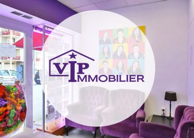 VIP Immobilier